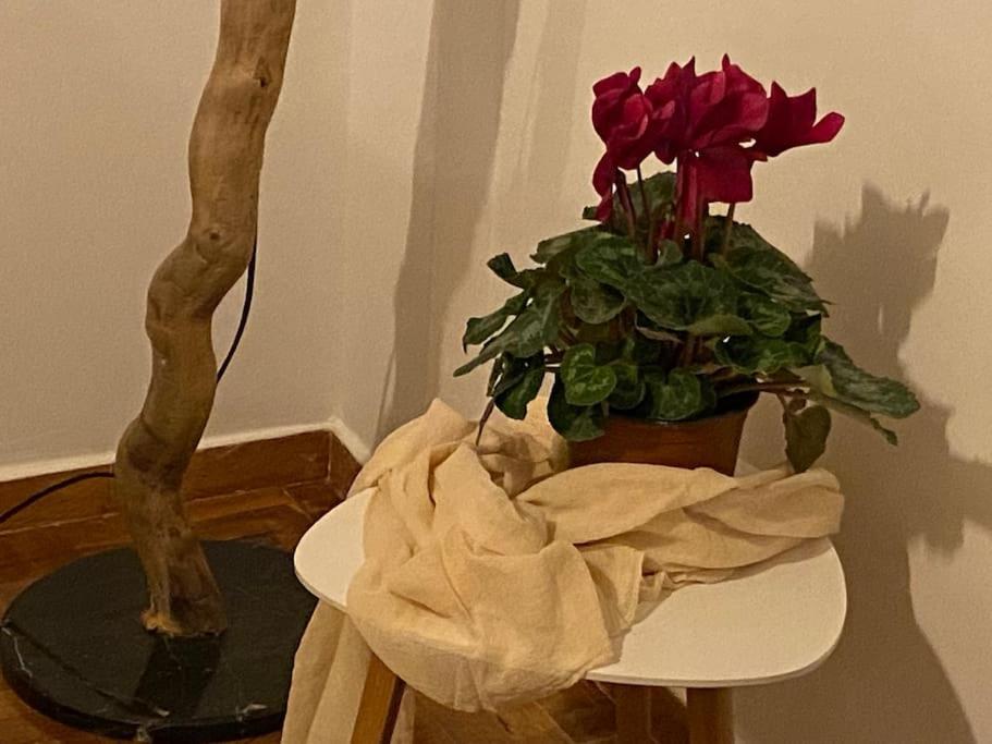 Cozy And Comfortable Apartment In Athens Center Εξωτερικό φωτογραφία